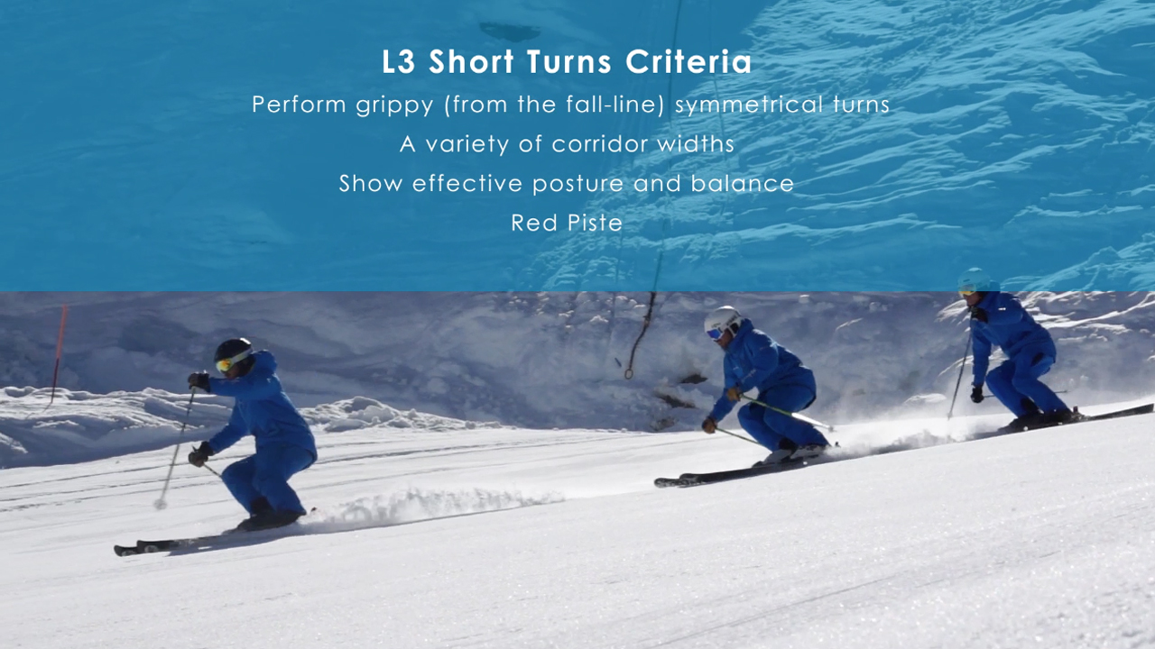 Criteria for BASI Level 3