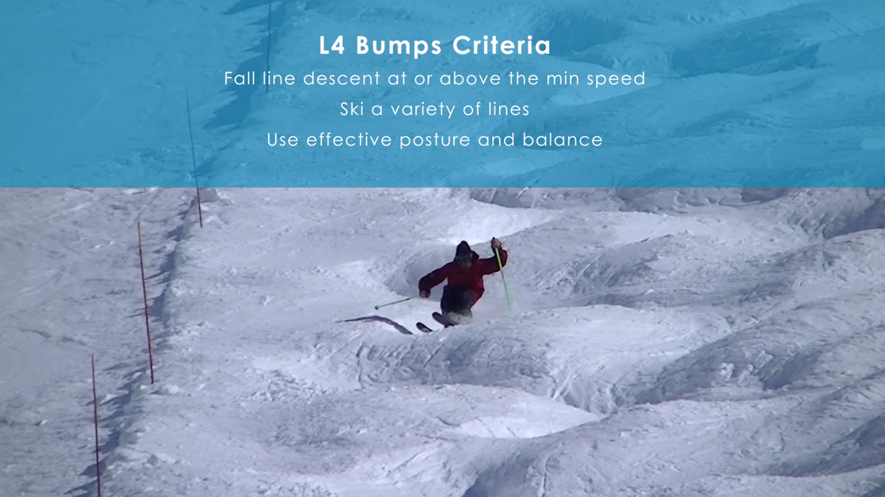 Information on skiing moguls