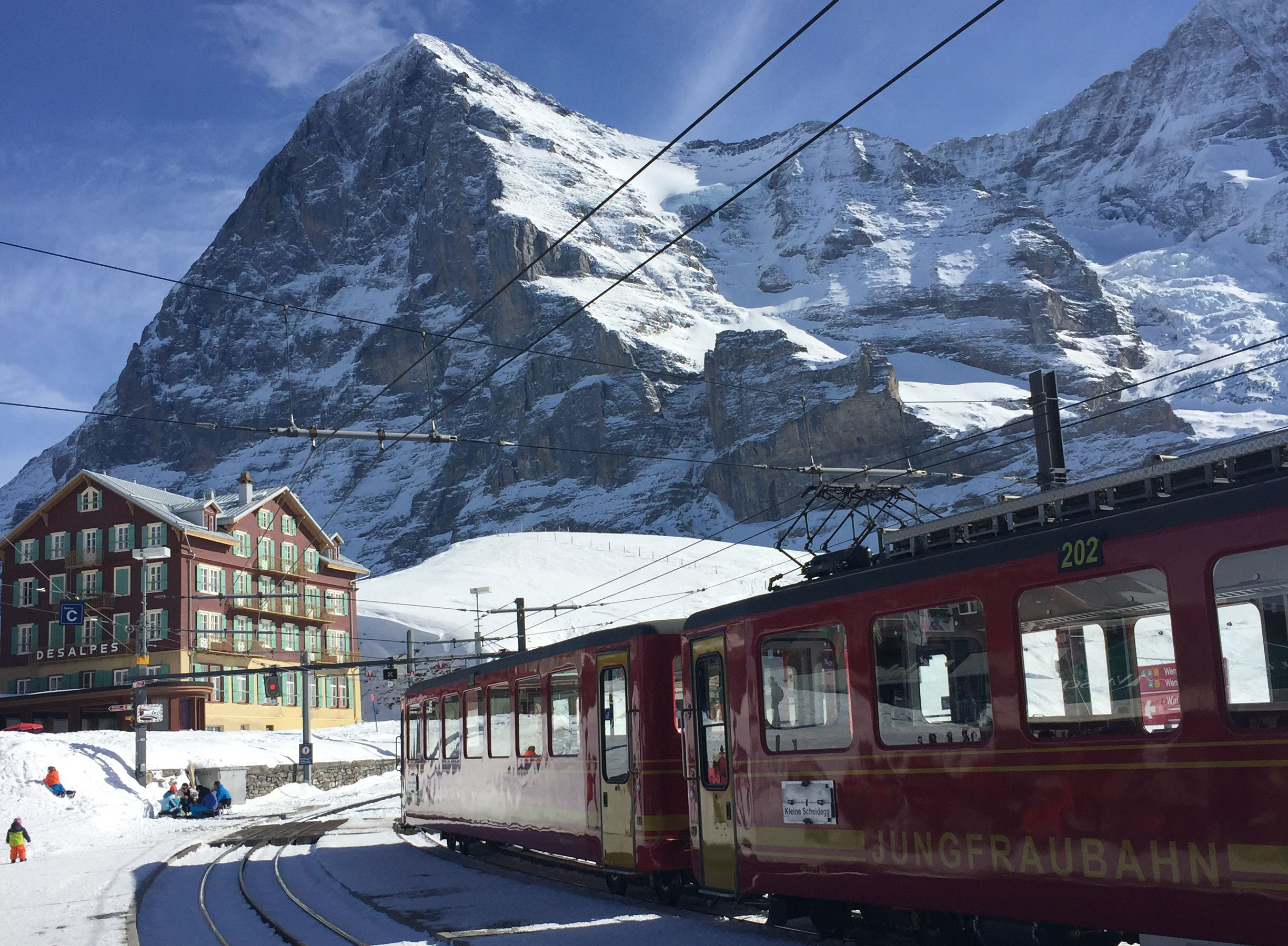 January Gap Course – Ski Instruction